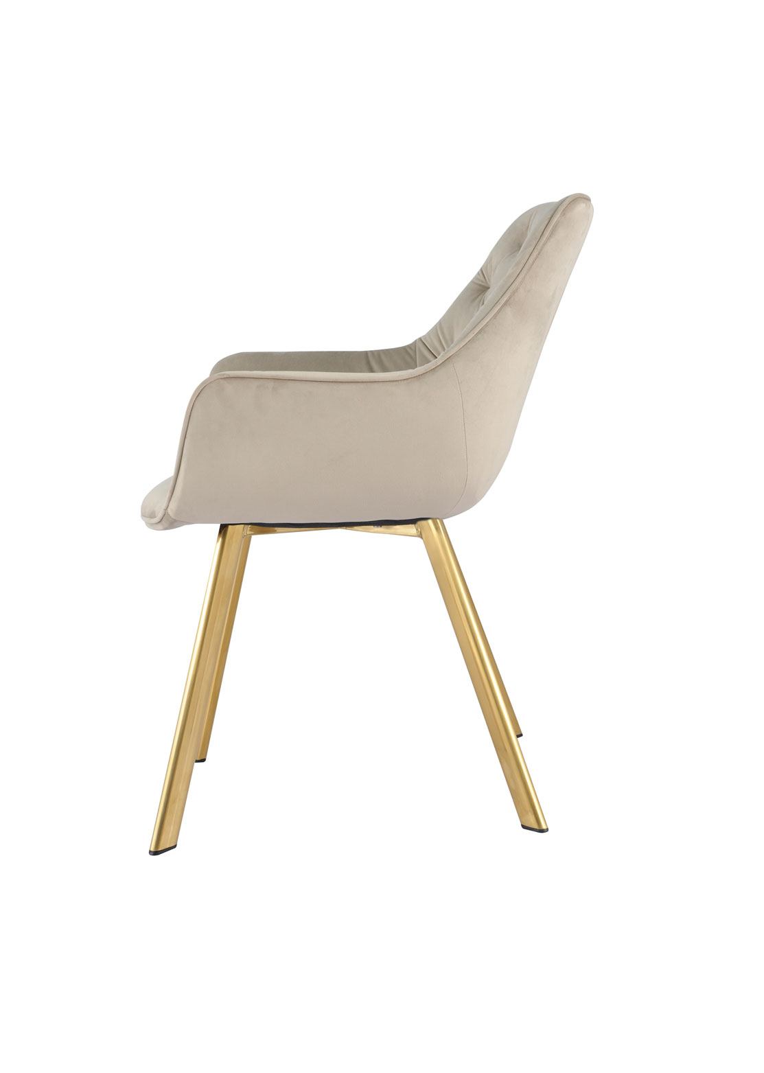 Miller Dining Arm Chair - Beige/Gold