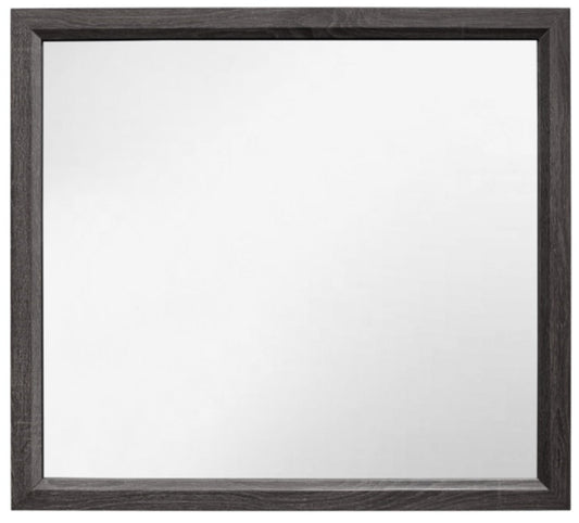 Homelegance Davi Mirror in Gray 1645-6 image