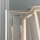 Chevanna Platinum LED Upholstered Panel Bedroom Set